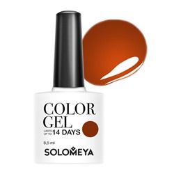 Гель-лак Color Gel Spicy cinnamon Пряная корица 117, Solomeya 8,5 мл