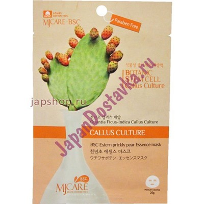 Маска тканевая Опунция BSC Eastern Prickly Pear Essence Mask, MIJIN 25 мл