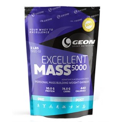 GEON Excellent Mass 5000 920 г