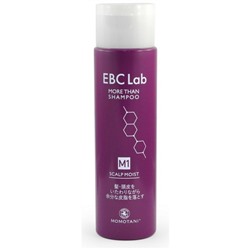 Увлажняющий шампунь для сухой кожи головы EBC Lab Scalp Clear More Than Shampoo, Momotani 290 мл