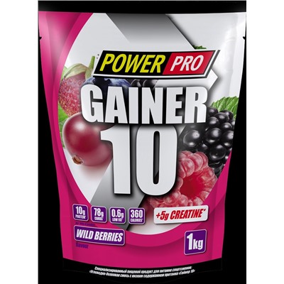 PowerPro Gainer 10 1000 г