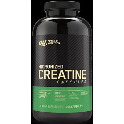 Optimum Nutrition Micronized Creatine