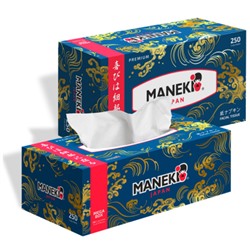 Салфетки двухслойные бумажные гладкие белые Ocean, Maneki 250 шт