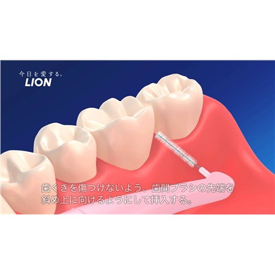 Щеточки для чистки межзубного пространства SS Dental Systema, LION 8 шт.