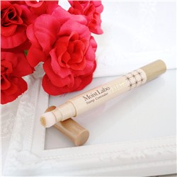 Точечный консилер со спонжем Moist-Labo BB+ Stamp Concealer (тон №3 натуральная охра), MEISHOKU  28 г