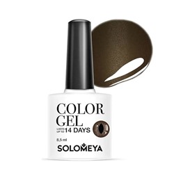 Гель-лак Color Gel Cat Eye Dark Brown/Темно-коричневый 54, Solomeya 8,5 мл