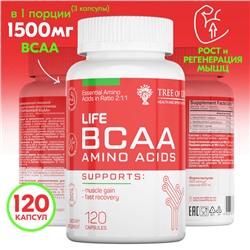 Tree of Life Life BCAA amino acids