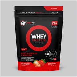 Endorphin BODY PIT Whey Protein дойпак 725 г